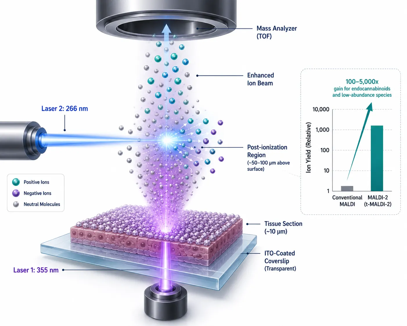 t-MALDI-2 Post-Ionization Mechanism — Dual-Laser Diagram with Ion Yield Enhancement