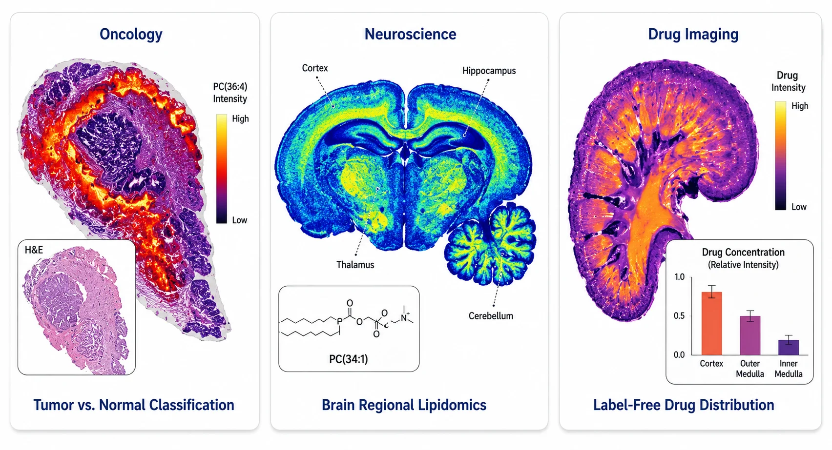 Application Examples Gallery — Three-Panel Molecular Imaging Results
