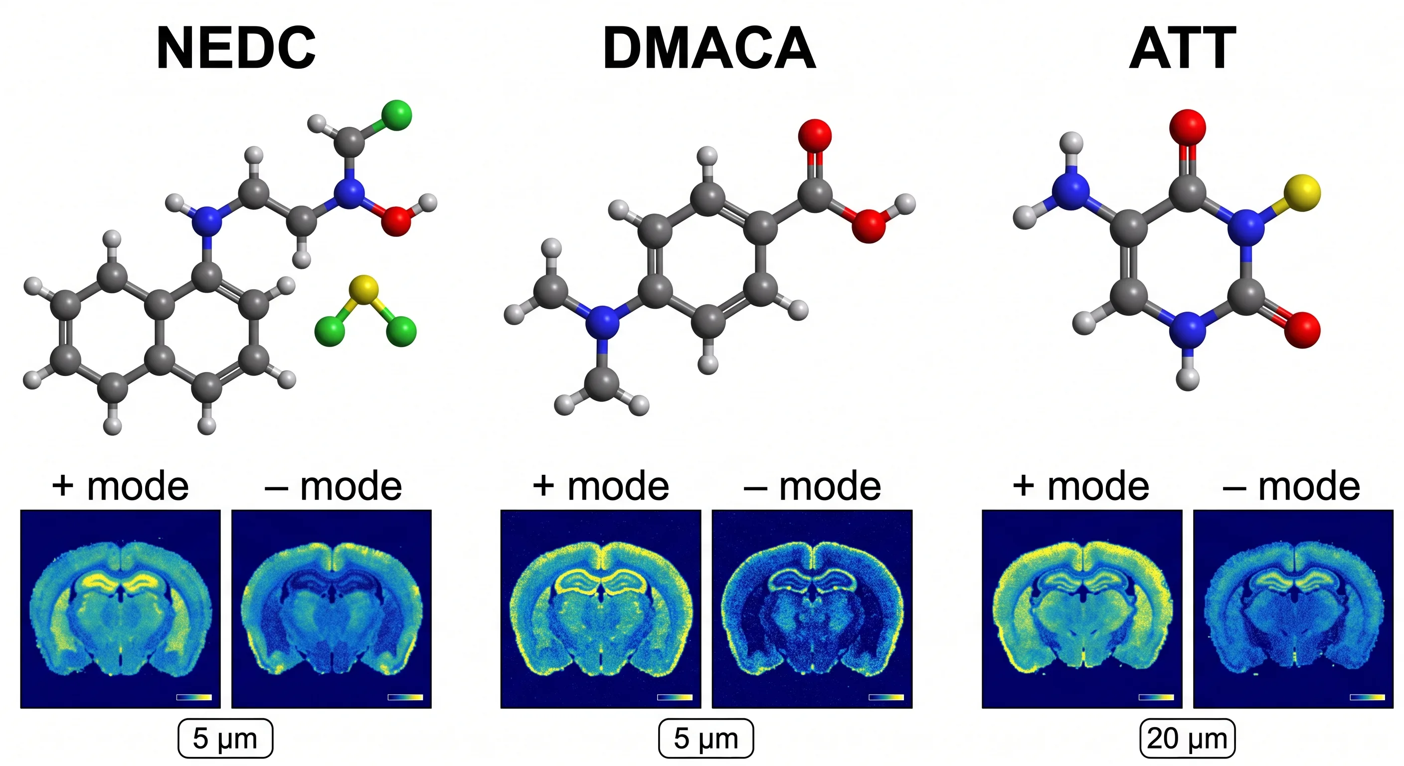 Dual-polarity matrix comparison — NEDC, DMACA, and ATT chemical structures with representative ion images from a single tissue section in both positive and negative modes.