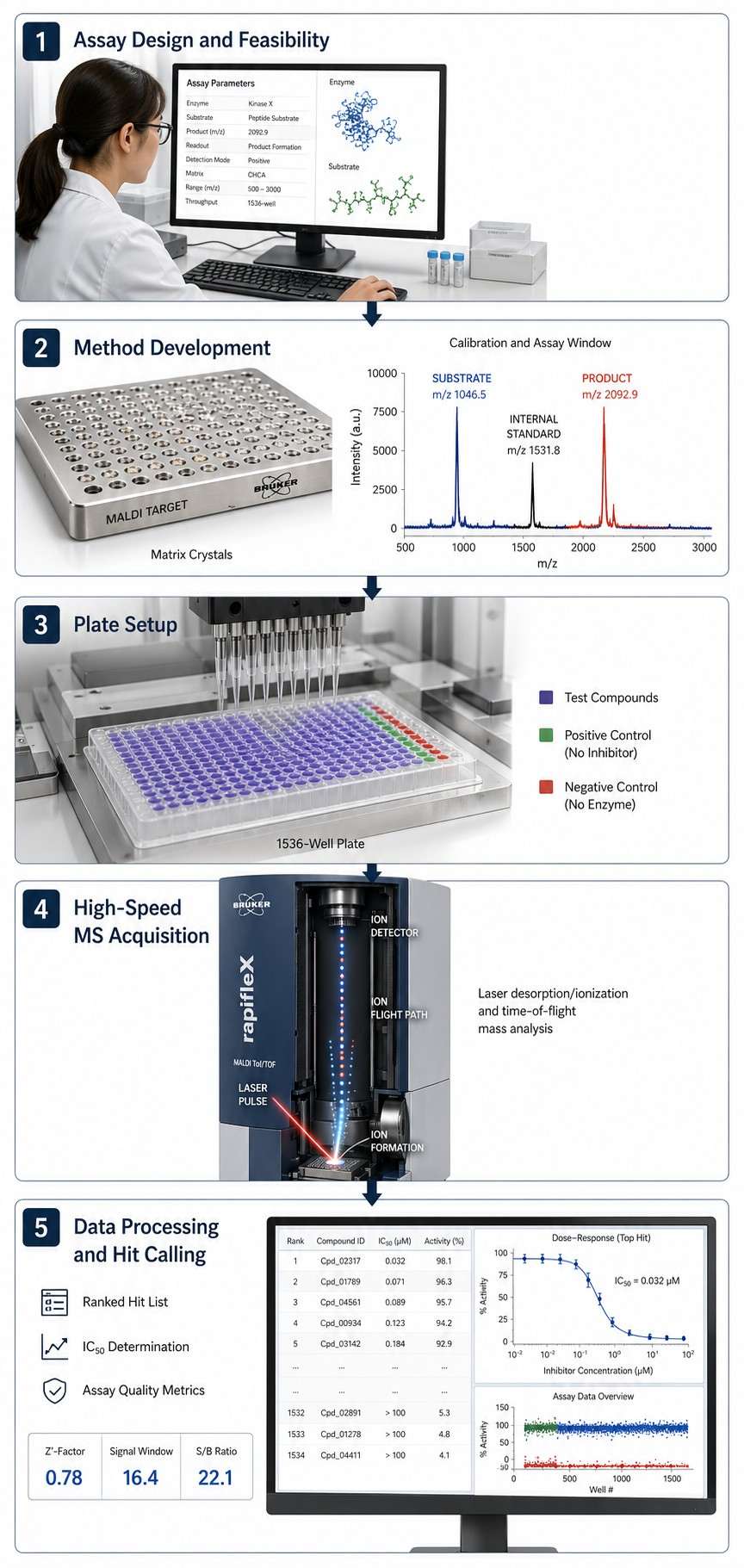 Five-step MALDI-TOF HTS workflow diagram: assay design, method development, plate setup, MS acquisition, data processing.