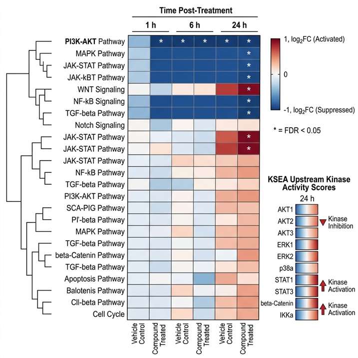 Phosphoproteomics signaling pathway heatmap from a kinase inhibitor MoA study, showing phosphosite fold-changes across multiple signaling pathways with KSEA-inferred upstream kinase activity scores and hierarchical clustering by pathway.