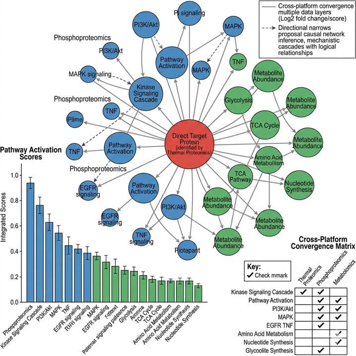 Integrated multi-omics MoA model network visualization showing cross-platform convergence of thermal proteomics, phosphoproteomics, and metabolomics data, with pathway-level integration and causal network inference arrows.