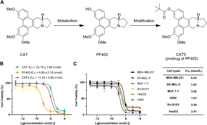 Case study workflow diagram from Zheng et al. 2025 Acta Pharmaceutica Sinica B, showing the thermal proteome profiling (TPP-TR) workflow identifying NAMPT as the anti-glioma target of PF403, with MST/SPR/ITC binding confirmation, X-ray crystallography structure (PDB 8Y55) showing PF403 bound in the NAMPT nicotinamide-binding pocket, and in vivo shRNA knockdown validation in U87 xenograft model.