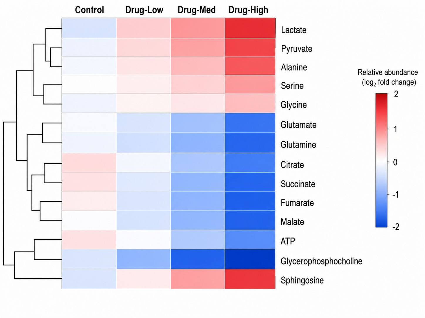 Hierarchical clustering heatmap of significantly altered metabolites across drug-treated and control groups.