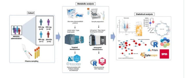 Schematic representation of the pharmacometabolomics workflow used for drug-induced metabolic pathway analysis in the β-lapachone derivative first-in-human study.