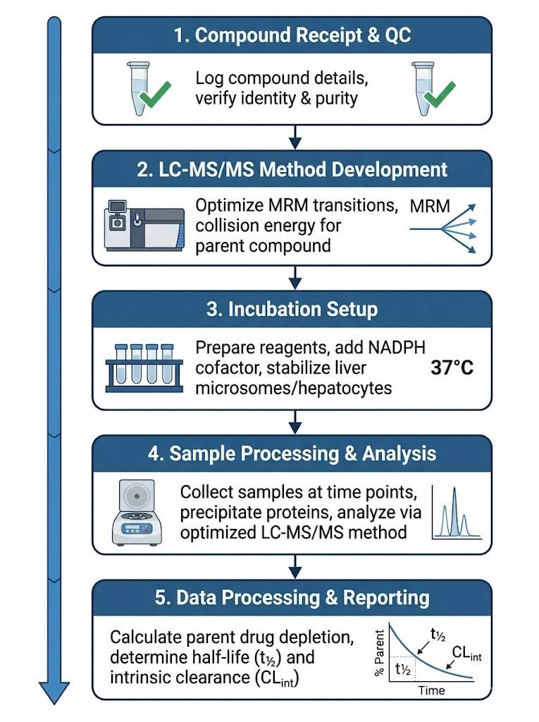 Metabolic stability assay workflow from sample receipt to data reporting