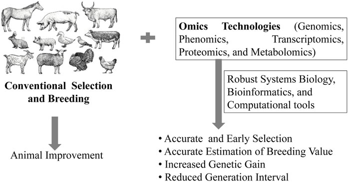 Metabolomics in Animal Breeding: Advancing Genetics, Health, and Productivity