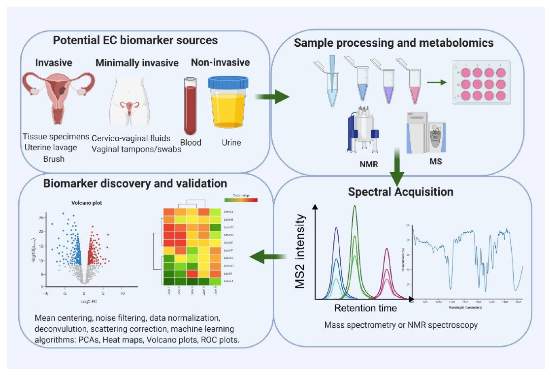 Metabolomics in Cancer Research