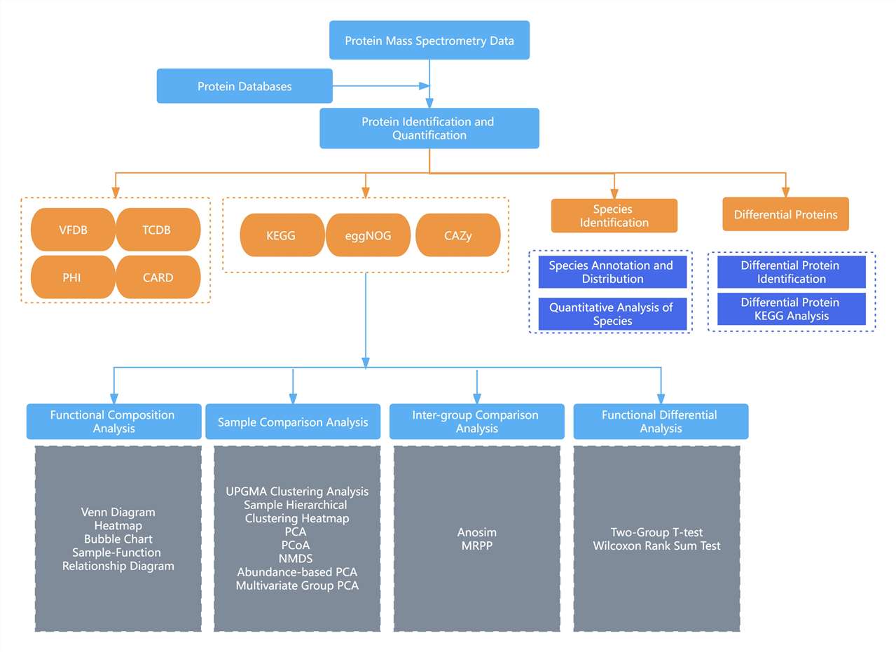 https://www.creative-proteomics.com/upload/image/metaproteomics-service-3.jpg