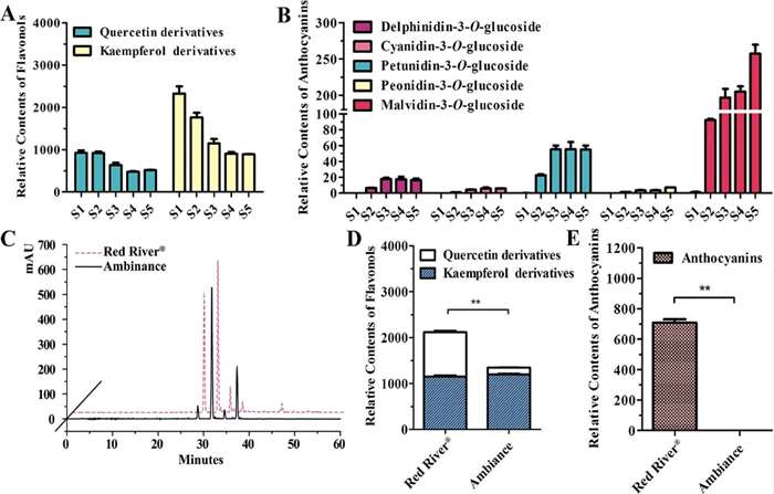 Methods for Qualitative and Quantitative Analysis of Anthocyanins: Extraction, Purification, and Identification