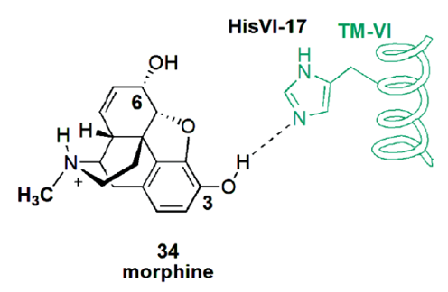 Methylation Analysis Service