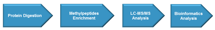 Methylation Analysis Service