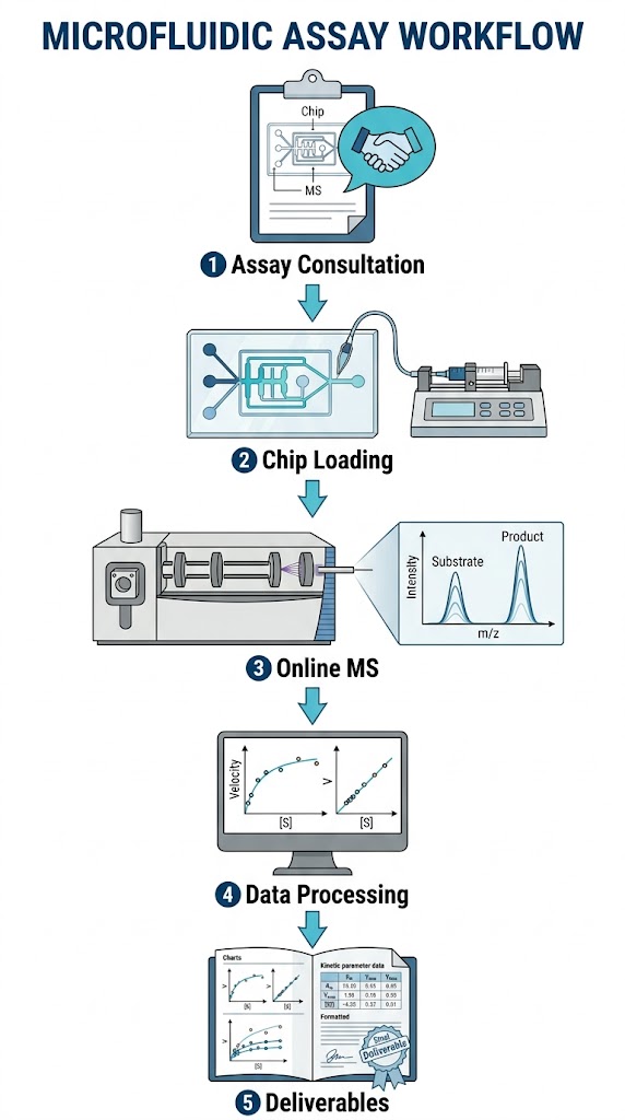 Five-step vertical workflow for microfluidic chip-MS: assay consultation, chip loading, online MS acquisition, data processing, and deliverables.