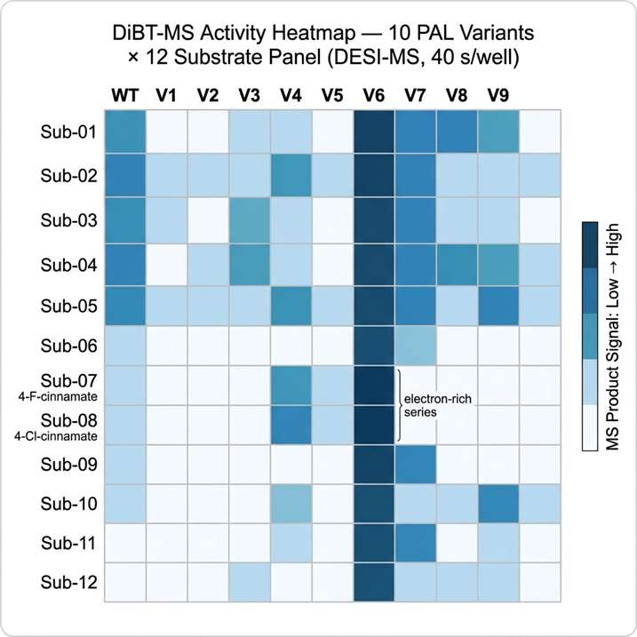 Enzyme variant activity heatmap from DiBT-MS biocatalyst screening showing a 10 x 12 grid of enzyme variants on x-axis versus substrate panel on y-axis, with colour intensity proportional to product detected by MS, identifying high-activity variants in the top-right cluster.