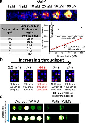 Figure from Kempa et al. 2021, JACS Au, showing DiBT-MS heatmap results from direct DESI-MS screening of phenylalanine ammonia lyase variants against 15 cinnamic acid substrate derivatives, with colour intensity indicating product detected by mass spectrometry across the enzyme variant panel.