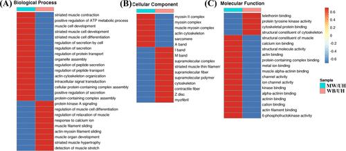 Redox proteomic service