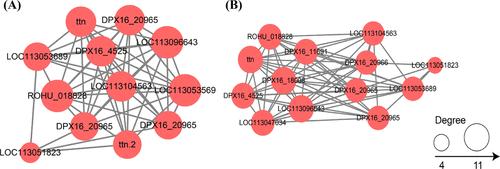Redox proteomic service
