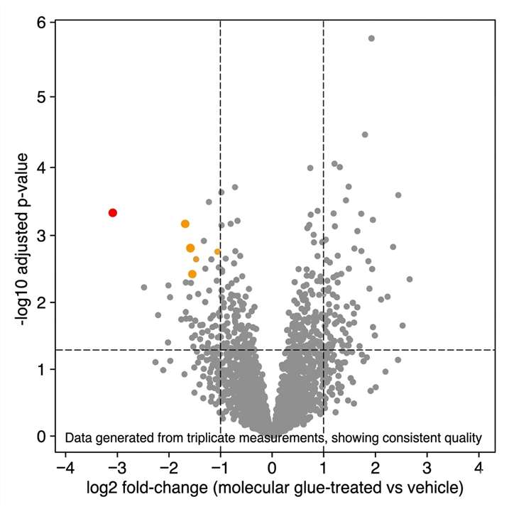 Volcano plot from quantitative DIA proteomics of molecular glue-treated versus vehicle-treated HCT116 cells showing log2 fold-change on x-axis versus -log10 p-value on y-axis, with the candidate neosubstrate highlighted in red at log2 fold-change minus 3.1 and two off-target depleted proteins in orange, across approximately 6,500 quantified proteins.