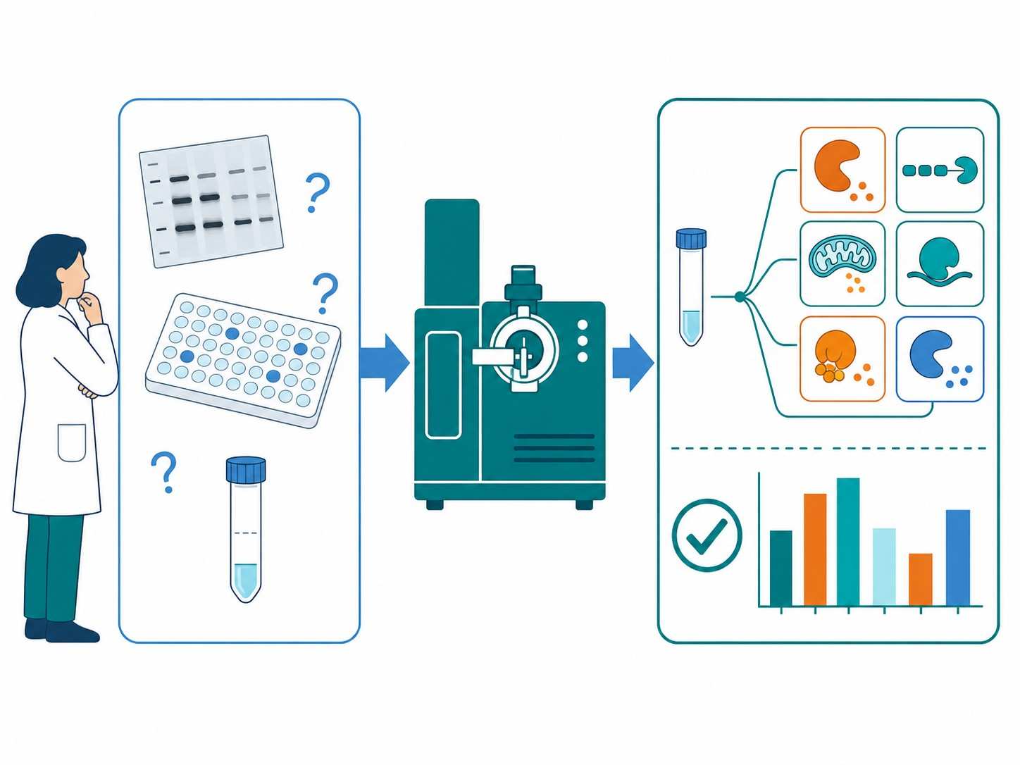 MS-based apoptosis markers analysis workflow diagram showing sample preparation, LC-MS/MS acquisition, and multiplex marker quantification for drug discovery applications.