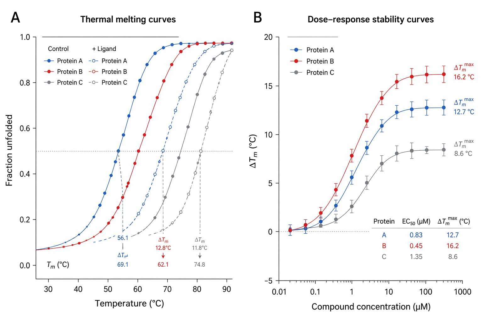 Thermal stability workflow diagram showing sample preparation, thermal perturbation, mass spectrometry and data analysis