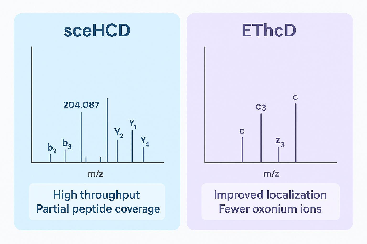 Side-by-side schematic spectra comparing sceHCD and EThcD fragmentation for glycopeptides
