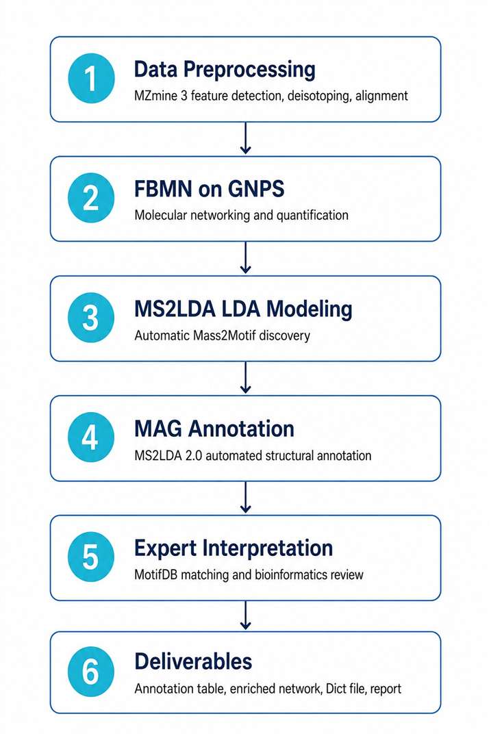 MS2LDA workflow diagram six steps from raw data to report