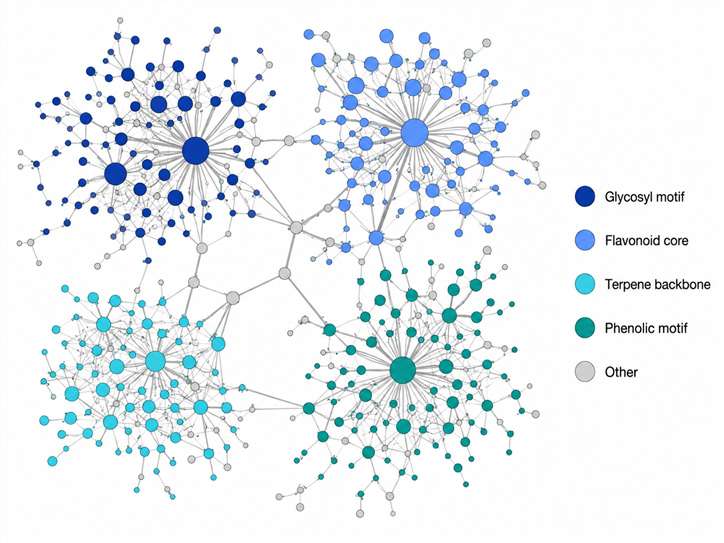 Representative Mass2Motif-enriched molecular network showing nodes colored by Mass2Motif assignments