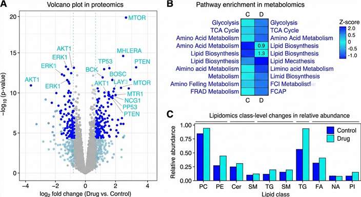 Multi-panel figure showing proteomics, metabolomics, and lipidomics changes in response to drug treatment