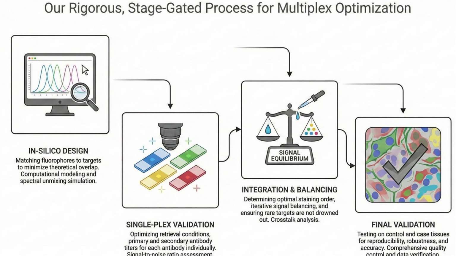 Multiplex staining workflow