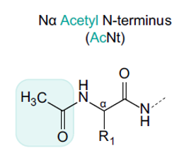 N-acetylation Analysis Service