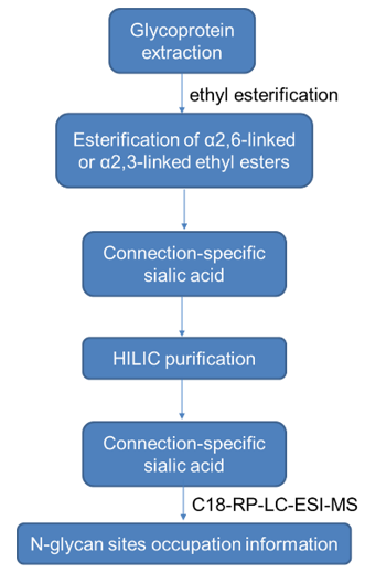 N-glycans Analysis Service