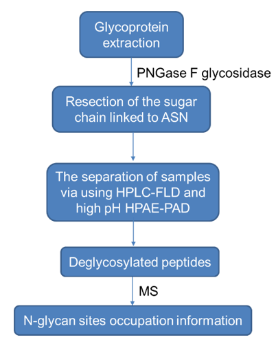 N-glycans Analysis Service