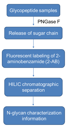 N-glycans Analysis Service