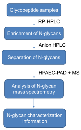 N-glycans Analysis Service