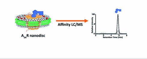 A2A receptor nanodisc affinity MS workflow showing nanodisc reconstitution, ligand incubation, affinity selection, and LC-MS detection.