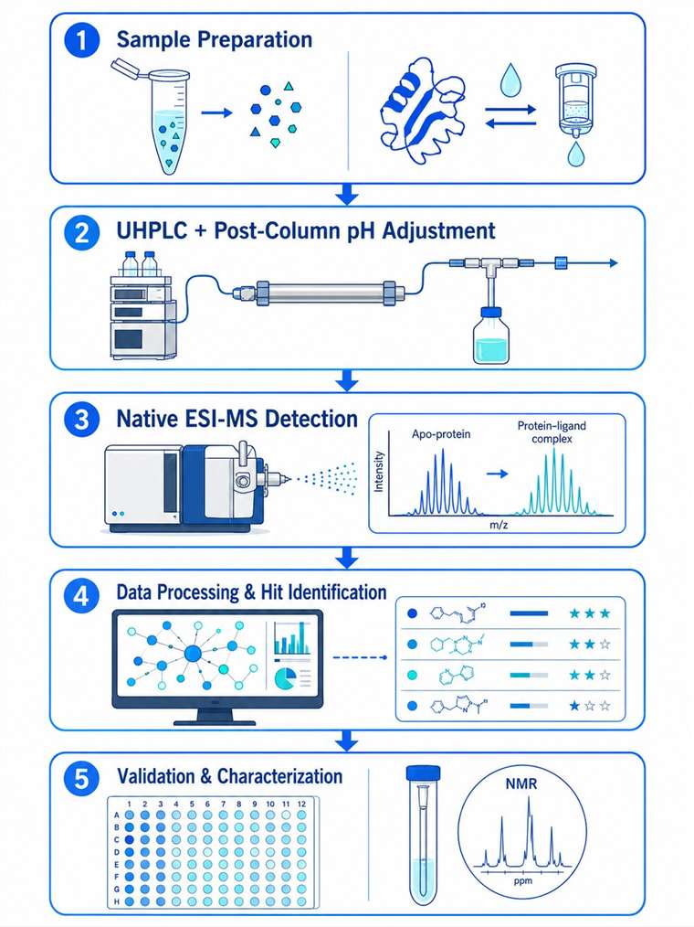 Native metabolomics workflow diagram with five steps from sample to validated hits
