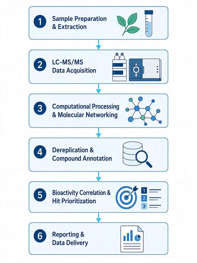 Natural product MS discovery workflow diagram illustrating six steps from sample preparation through LC-MS/MS acquisition, molecular networking, dereplication, bioactivity correlation, to final reporting.