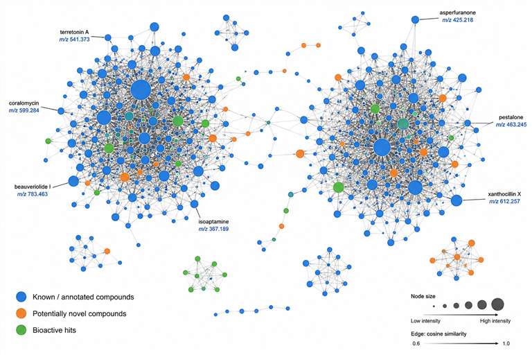 GNPS molecular network visualization showing clustering of natural product compounds by MS/MS spectral similarity, with annotated compound families and bioactivity correlation.