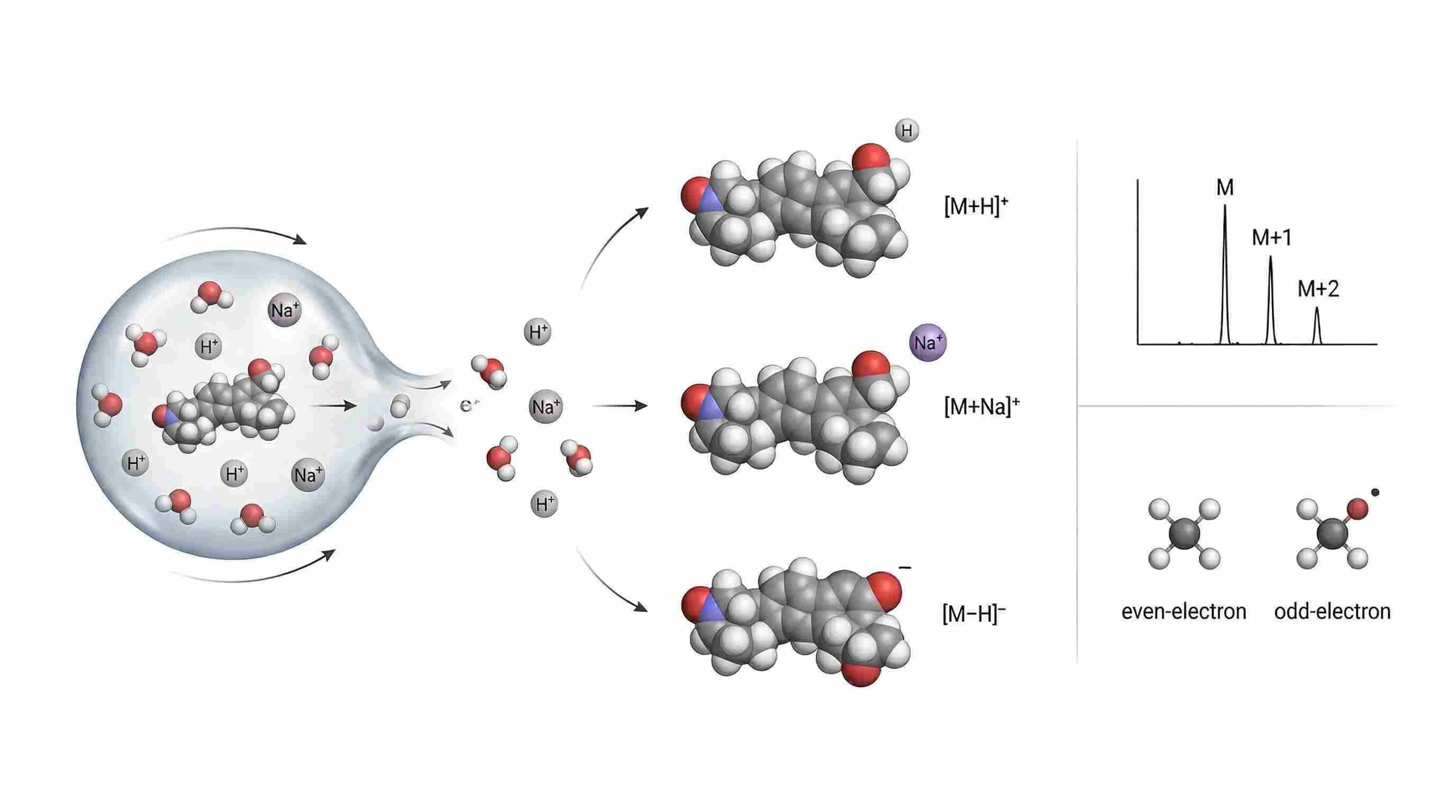 Navigating the Gas Phase: The Physics of Ion Formation, Collision Dynamics, and Tandem MS Fragmentation