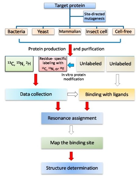 Nuclear Magnetic Resonance (NMR) Pharmaceutical Analysis