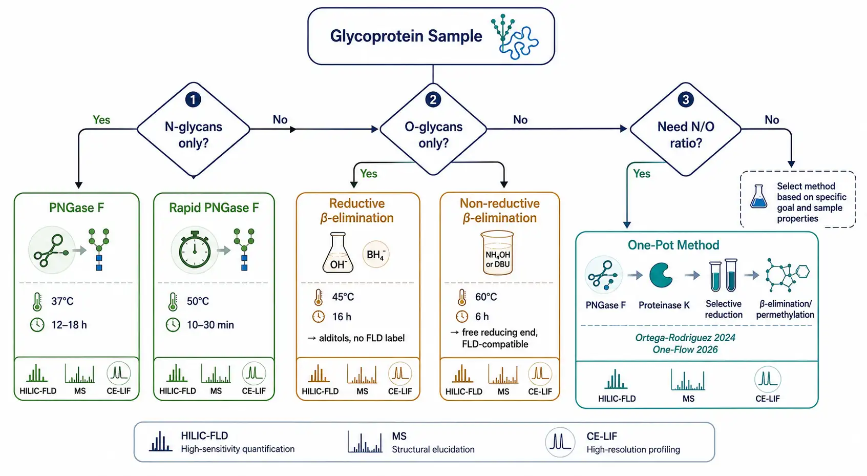 Glycan release method decision tree — selecting between PNGase F, Endo H, reductive vs non-reductive β-elimination, and one-pot methods based on sample type and analytical goal