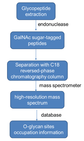 O-glycan Sites Occupation Analysis Service