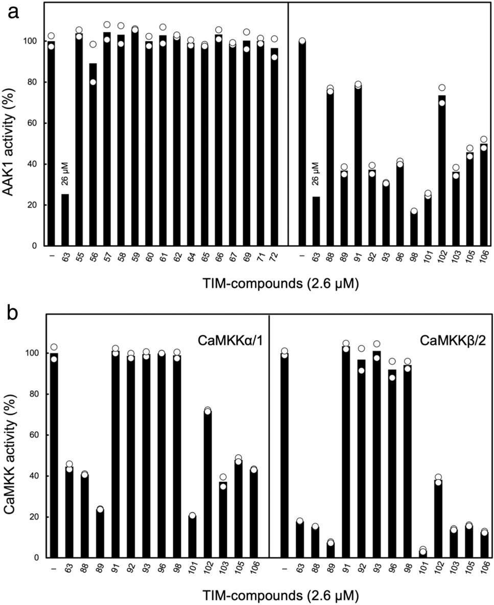 TPP melt curve shifts for a preclinical candidate showing primary target at deltaTm 5.1 degrees C and seven off-targets with shifts above 1.5 degrees C.
