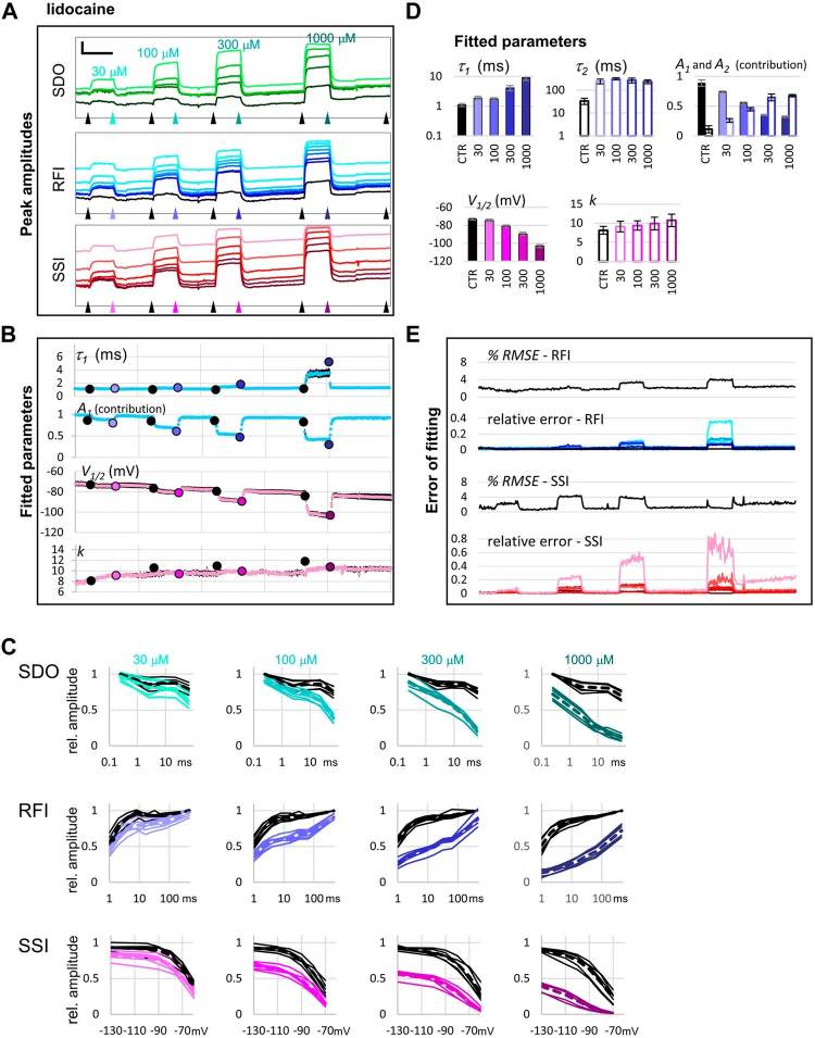Automated patch clamp protocol design for drug-ion channel binding dynamics showing voltage protocol schematic and concentration-dependent effects of lidocaine on sodium channel inactivation.