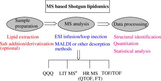 Phospholipid Extraction and Mass Spectrometry Analysis