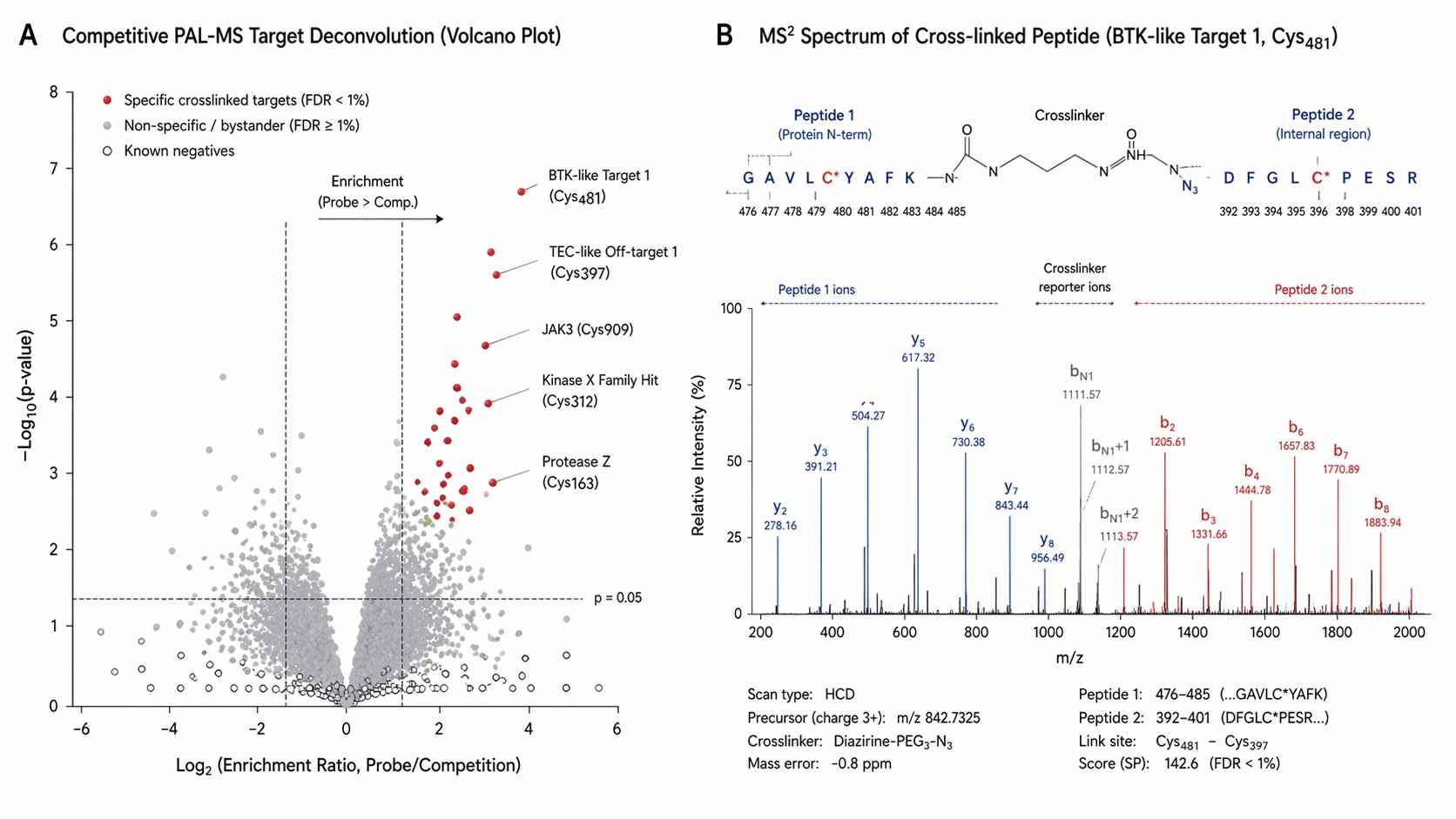 A competitive volcano plot highlighting true specific targets in red vs non-specific background alongside an annotated high-resolution MS2 fragmentation spectrum of a crosslinked peptide.