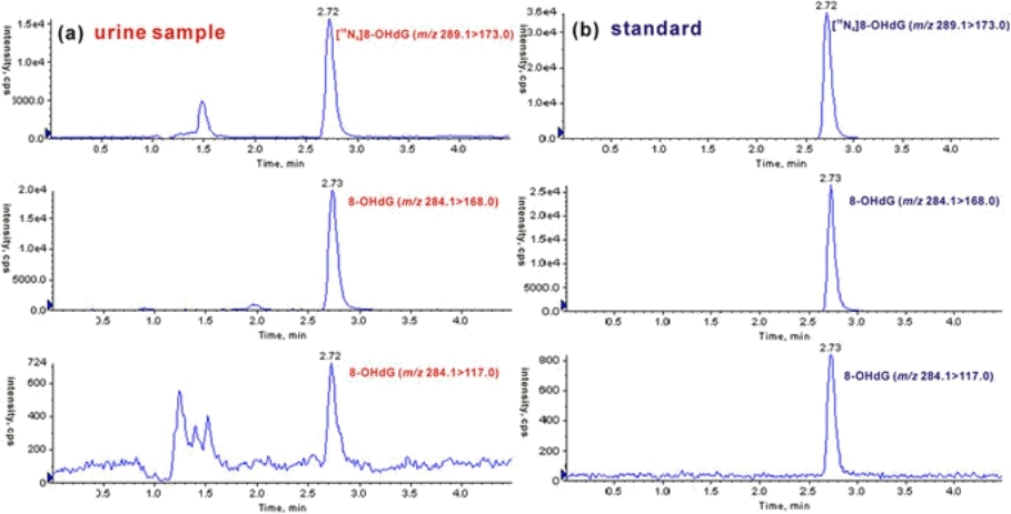 (a) Representative chromatograms from human urine sample displaying internal standard [15N5]8-OHdG (m/z 289.1 > 173.0), 8-OHdG (m/z 284.1 > 168.0) and corresponding qualifier ion (m/z 284.1 > 117.0). (b) Representative chromatograms of internal standard and 8-OHdG standard.