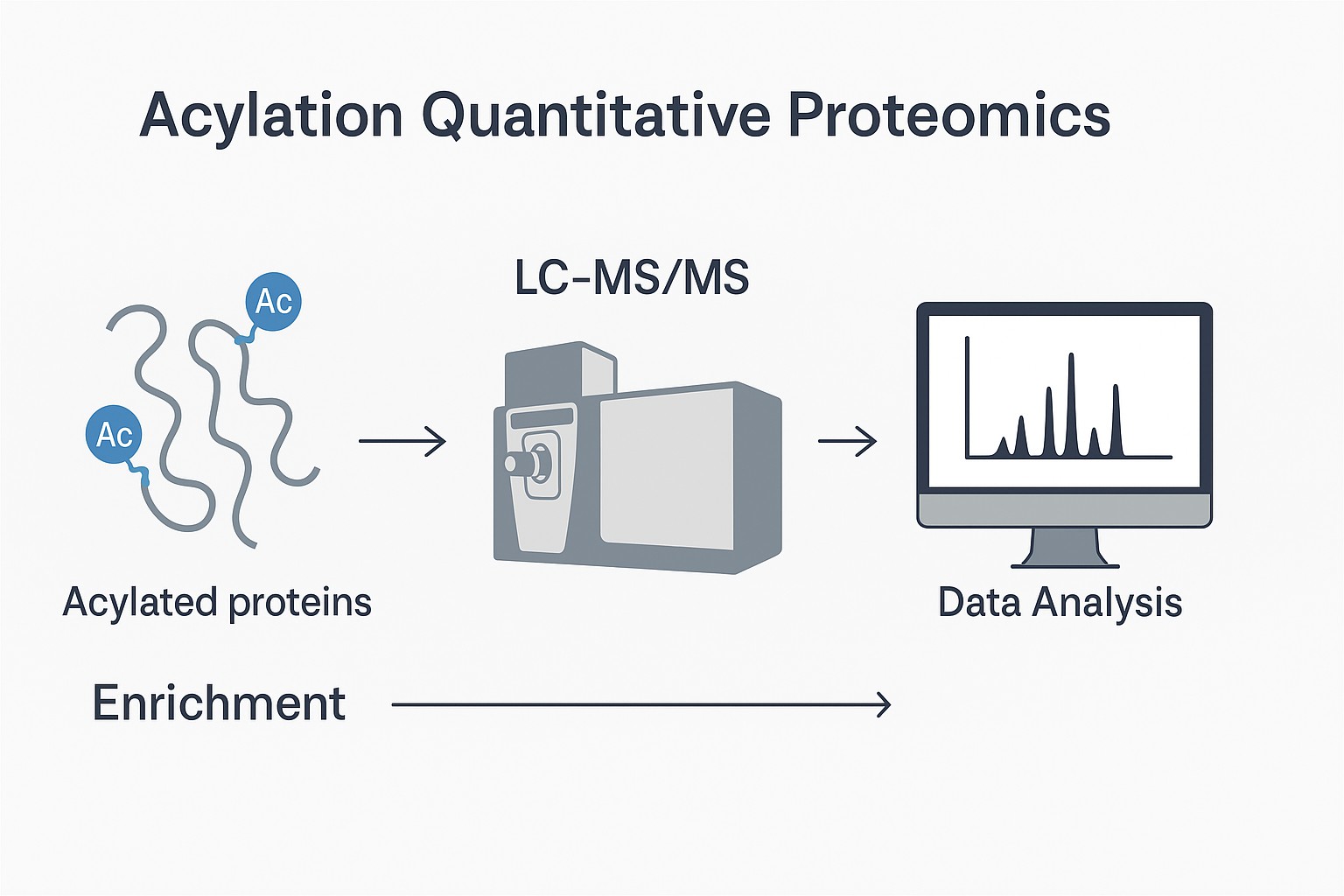 Acylation Quantitative Proteomics