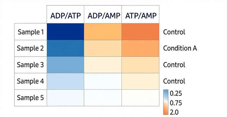 ：Heatmap showing ADP/ATP/AMP ratio variations in multiple samples under different experimental conditions.