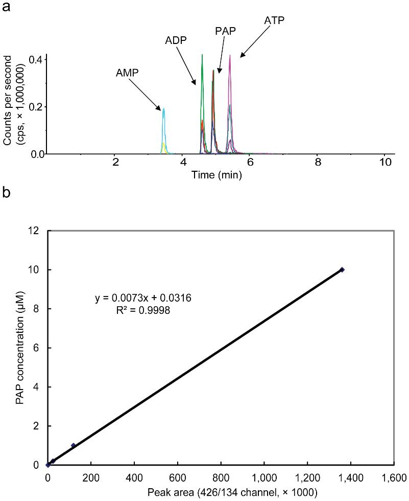 HPLC chromatograms of antioxidant standards and human plasma showing multi-wavelength detection of lipophilic compounds.